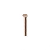 Vite per piastra copri pozzetto 70 mm bronzata